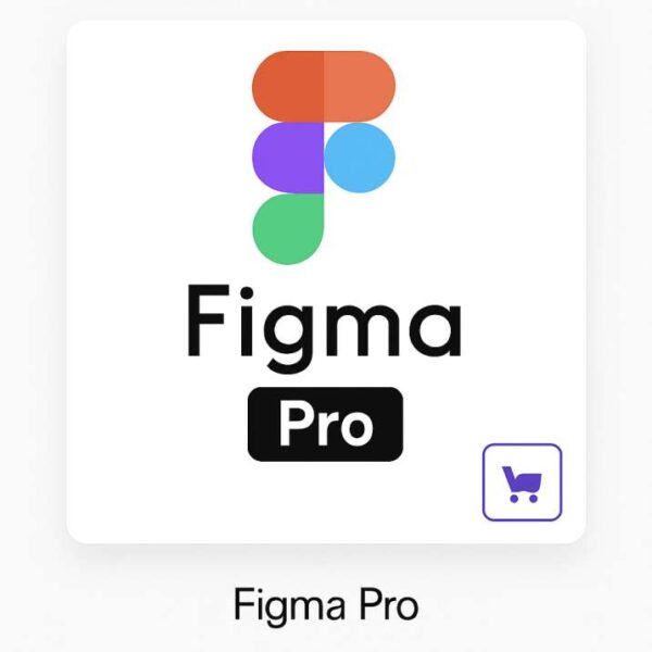 Figma pro 2 Years